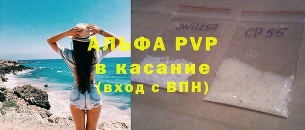 индика Осташков