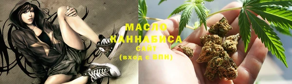 индика Осташков
