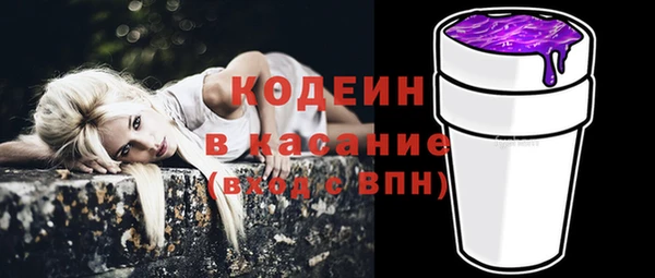 индика Осташков