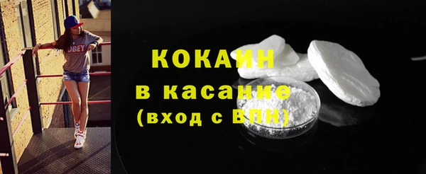 индика Осташков