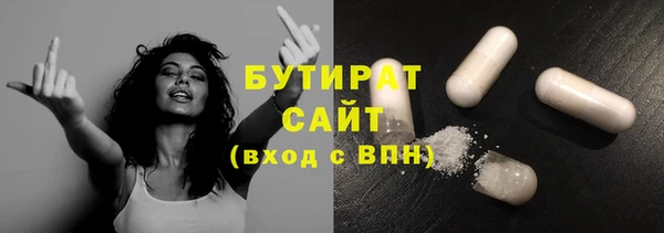 индика Осташков