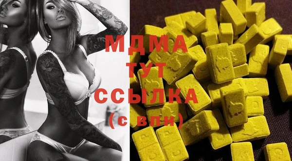 индика Осташков