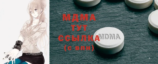 индика Осташков